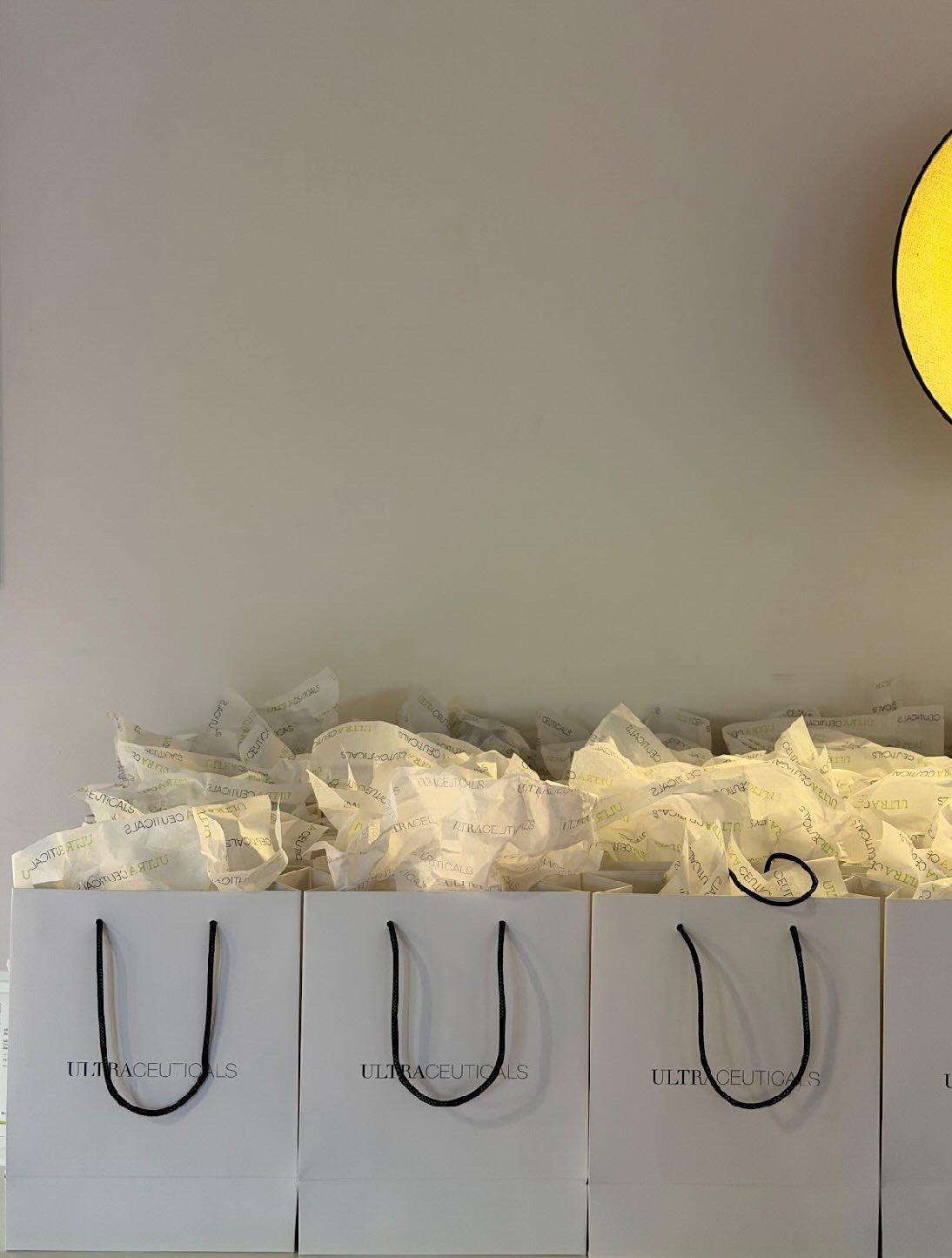 Ultraceuticals giftbags featuring products for an event at LillyRose Beauty in Orange NSW, 2800